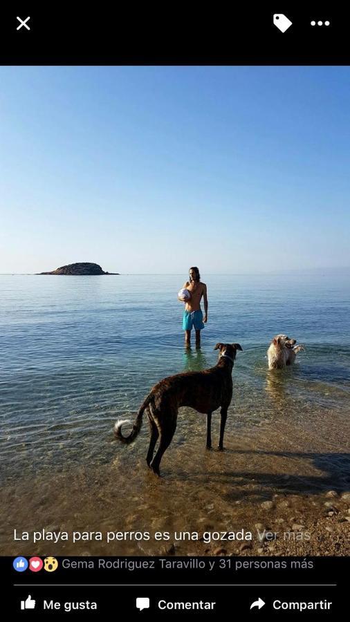 Altea Y Su Magia Apartment ภายนอก รูปภาพ
